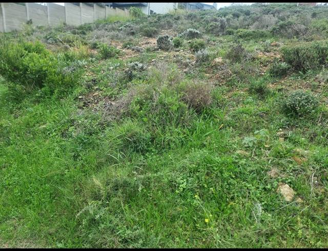920M² VACANT LAND FOR SALE IN DANA BAY